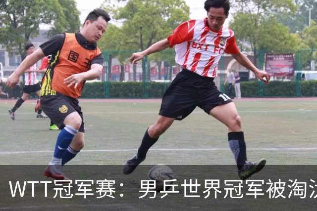 WTT冠军赛：男乒世界冠军被淘汰！雨果3-0大获全胜、晋级单打8强
